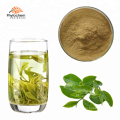 100% Natural for Weight loss 98% polyphenols green tea extract